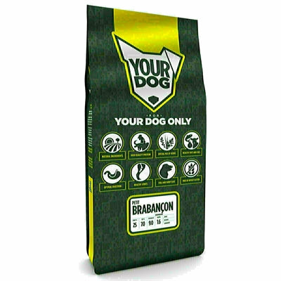 Yourdog Petit Brabançon Senior