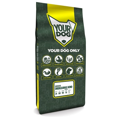 Yourdog Servische Driekleurige Hond Senior