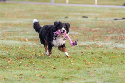 Trixie Flostouw 3 Knoop Blauw